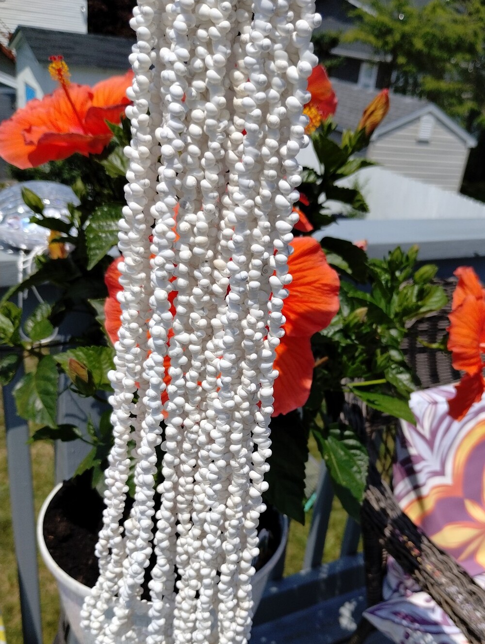 Handmade White Multi-Strand Shell Necklace - Picture 3 of 8